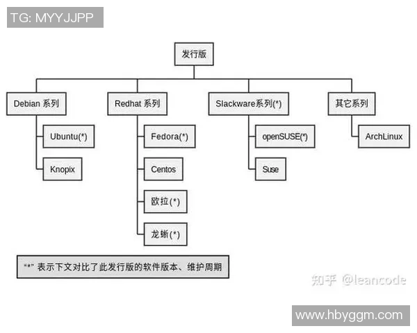 赛后分析:武汉篮球队与重庆篮球队球员个人能力对比探讨 赛后分析:武汉篮球队与重庆篮球队球员个人能力对比探讨
