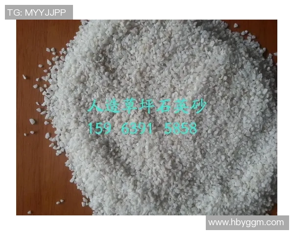 足球充沙子技术探讨与应用对比赛质量的影响分析 足球充沙子技术探讨与应用对比赛质量的影响分析