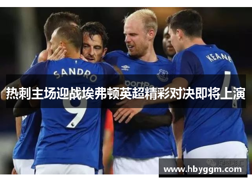 热刺主场迎战埃弗顿英超精彩对决即将上演